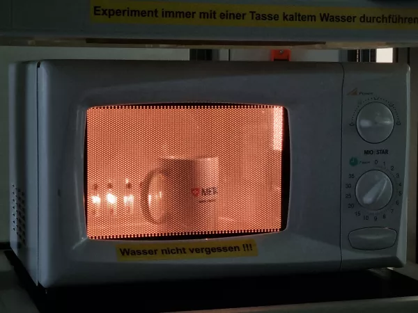 An experiment with microwaves