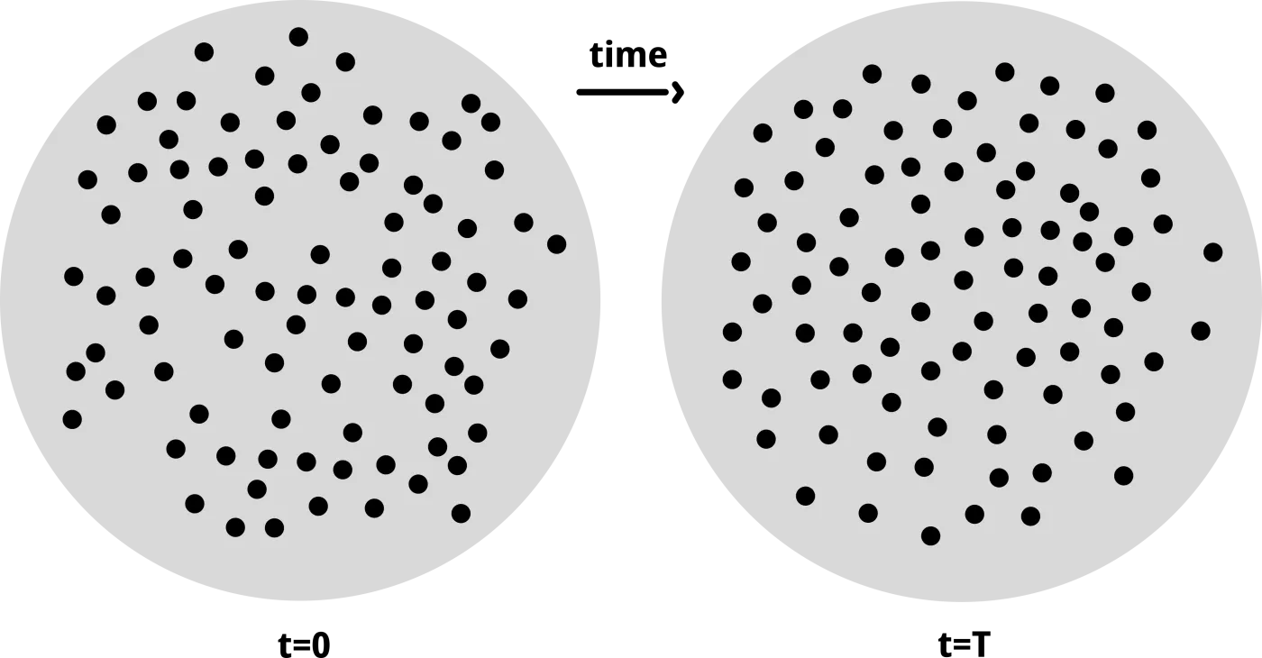 Two circles with random dots across the surface. The dots are all in a different position in the two images, except for one dot, which you are invited to find. This represents bubbles moving on the surface of a cup of coffee.